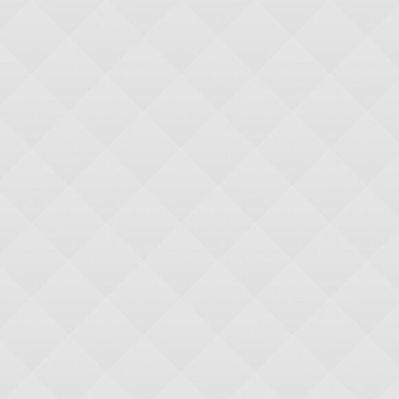 The American Bought Renoir’s Canvas