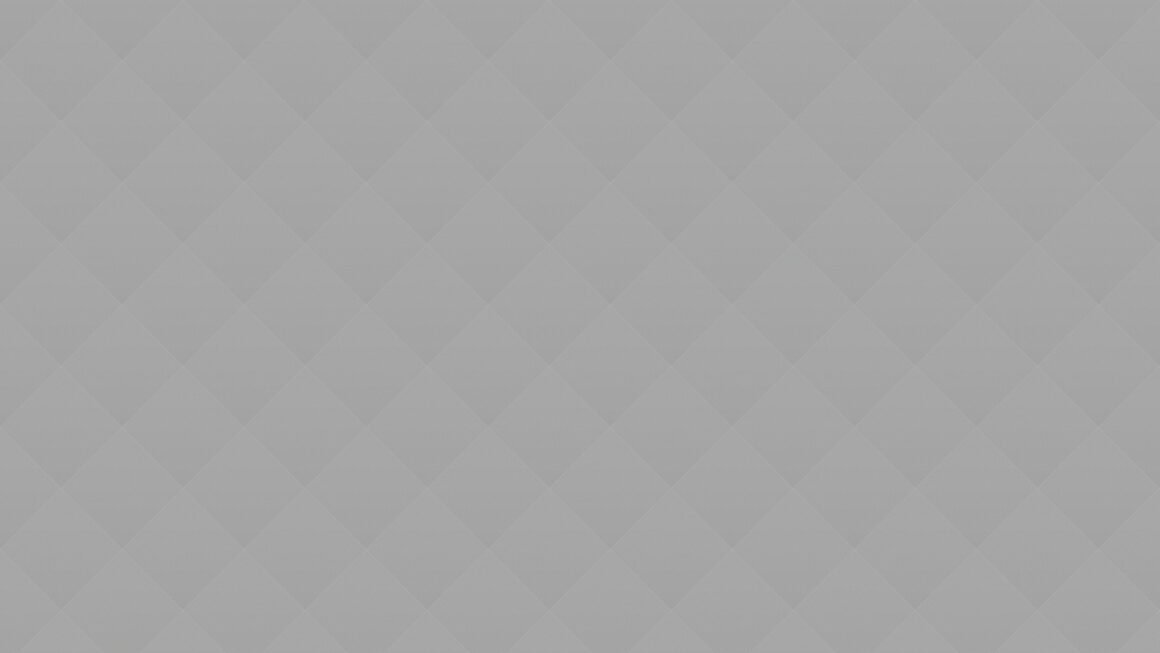 The Dutch painter Vermeer